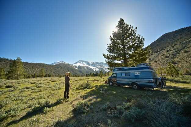 Comparative Analysis of Truck Models for Towing